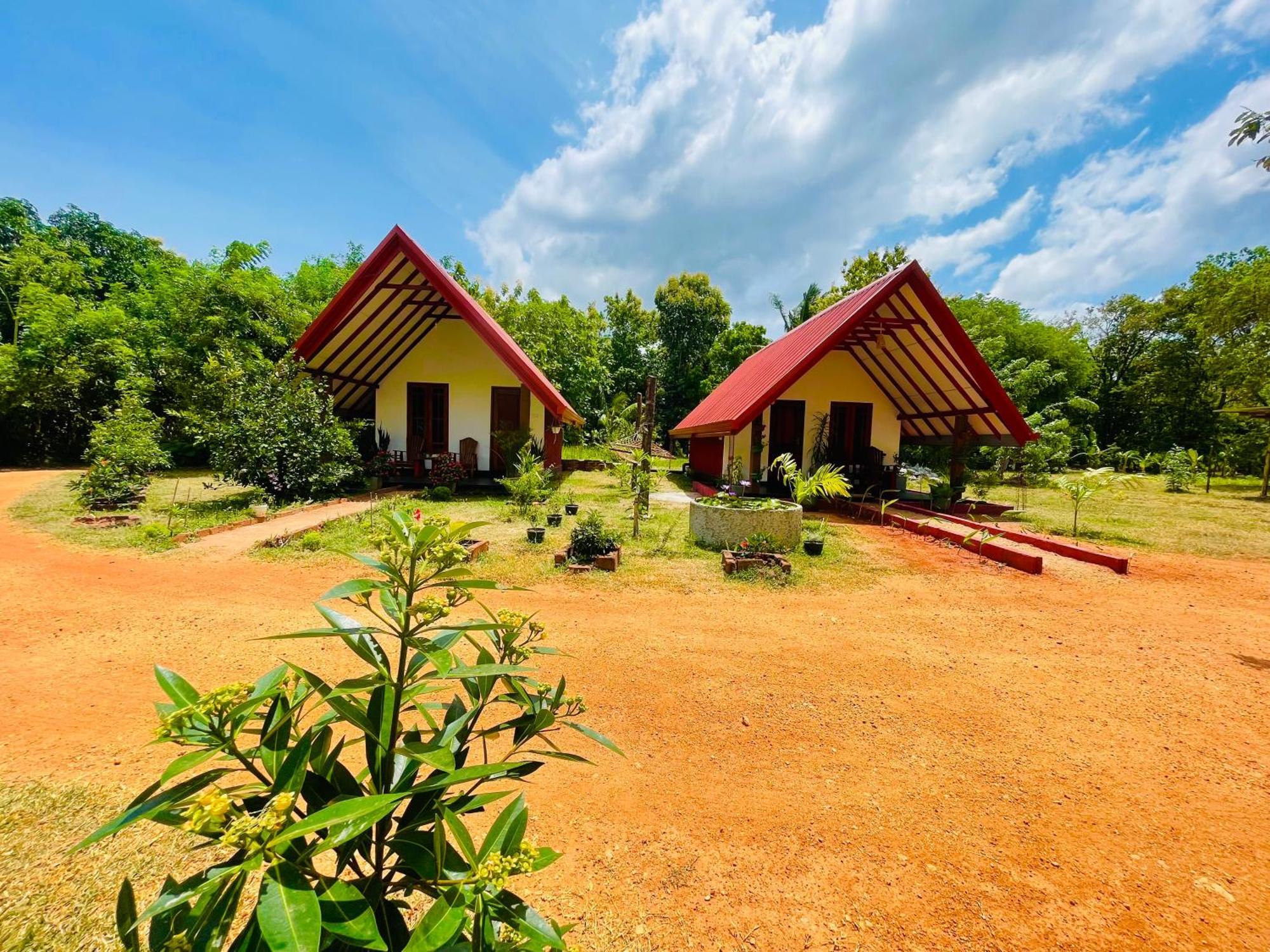 Sigiri Enaya Cottage Sigiriya Esterno foto