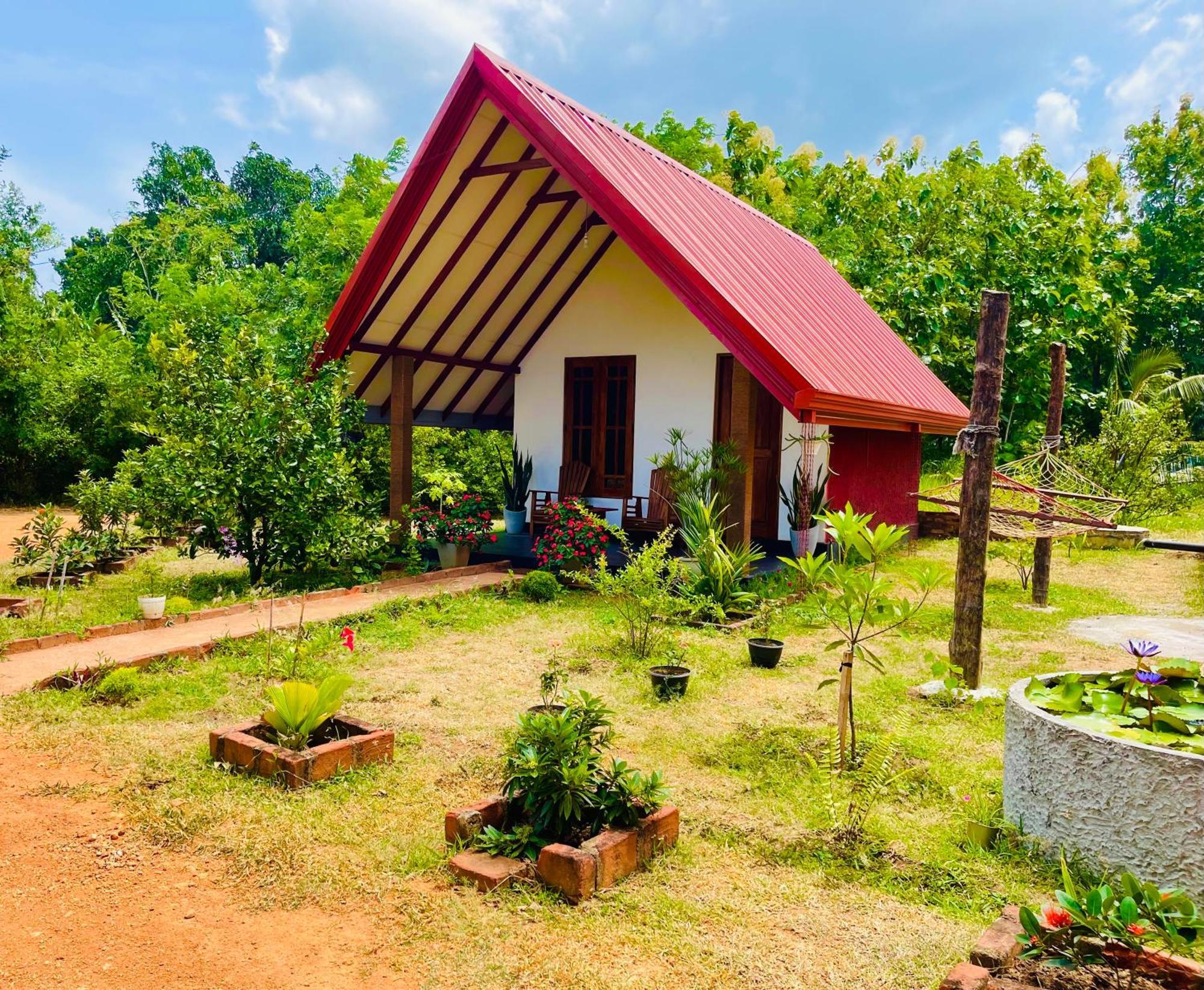 Sigiri Enaya Cottage Sigiriya Esterno foto