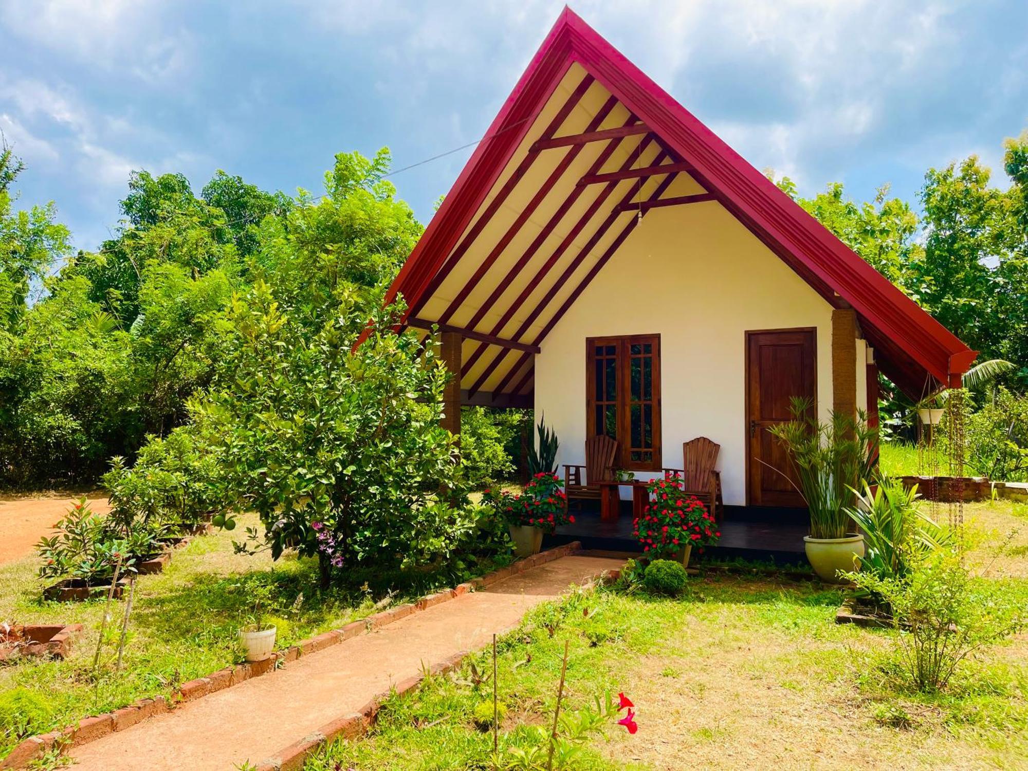 Sigiri Enaya Cottage Sigiriya Esterno foto